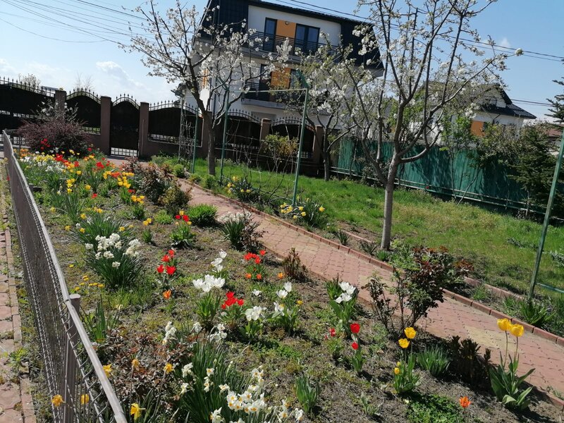 Ilfov, vila in Otopeni, langa Primarie.